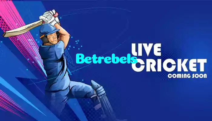 available types of Betrebels bet including pre-match live express and system bets